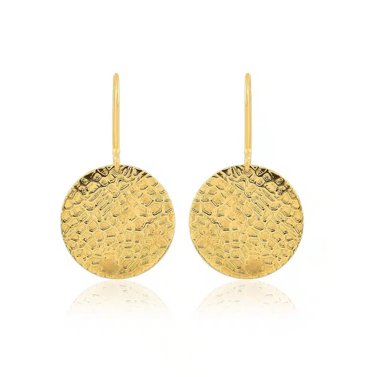 Coin Earrings