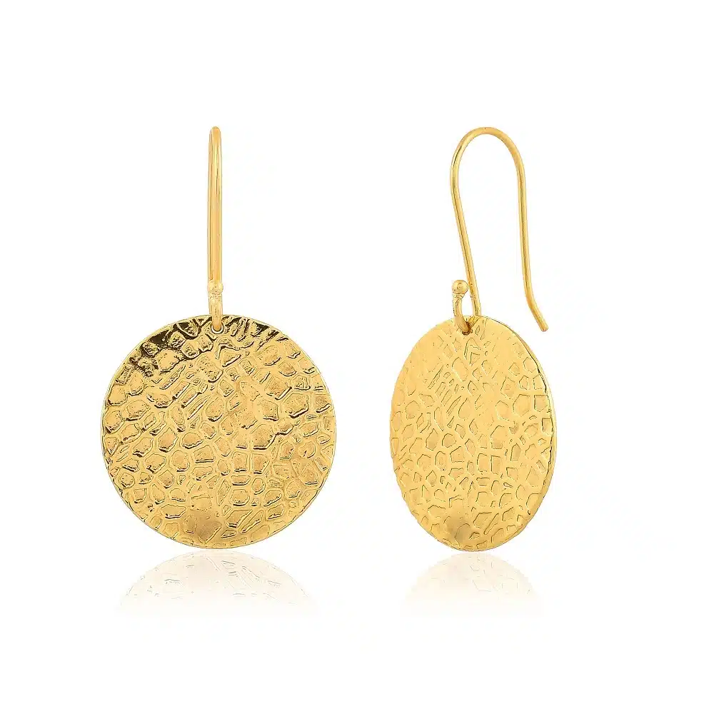 Coin Earrings